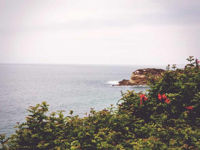 智慧健康管理助手